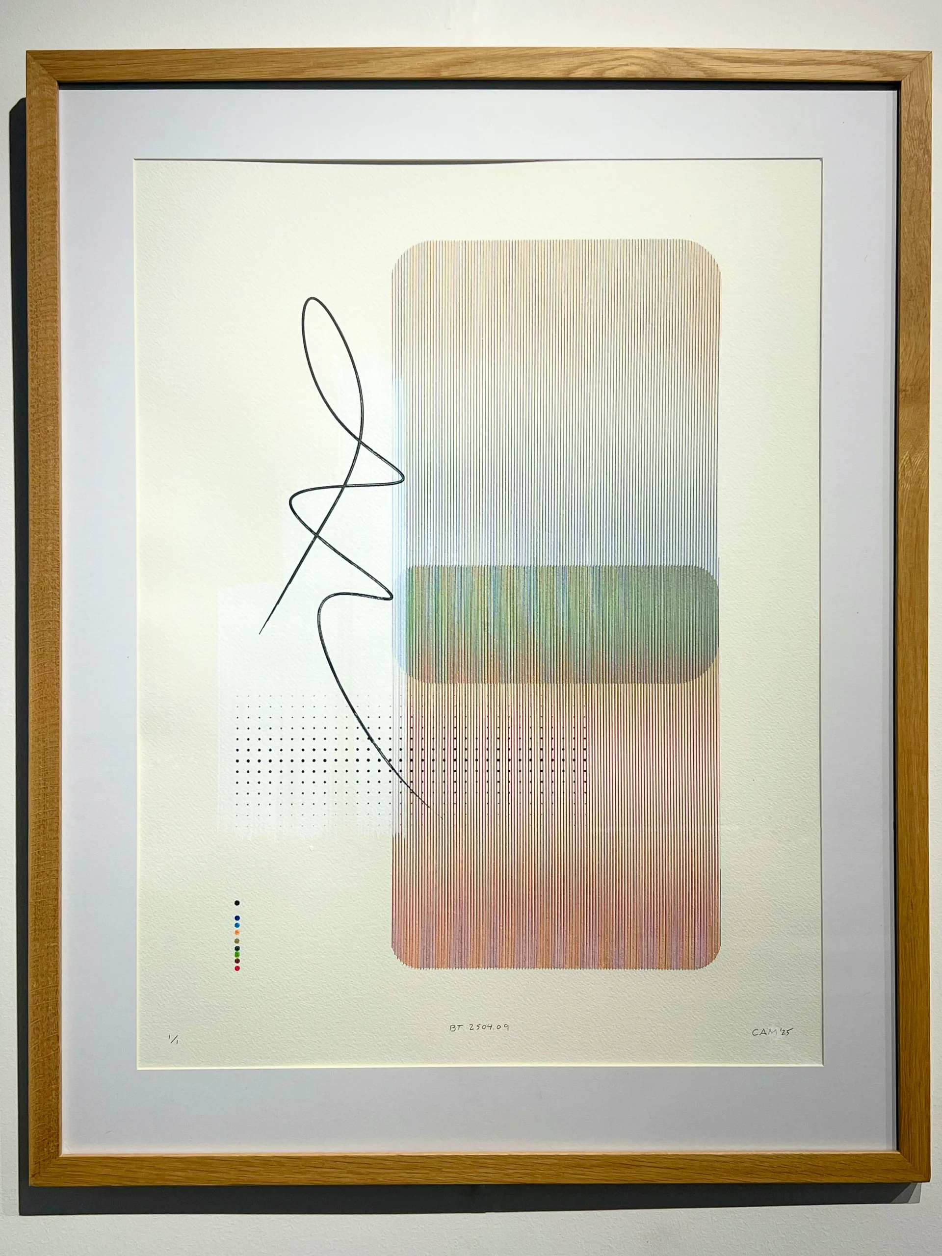 Joel Cammarata | BT.2504.09