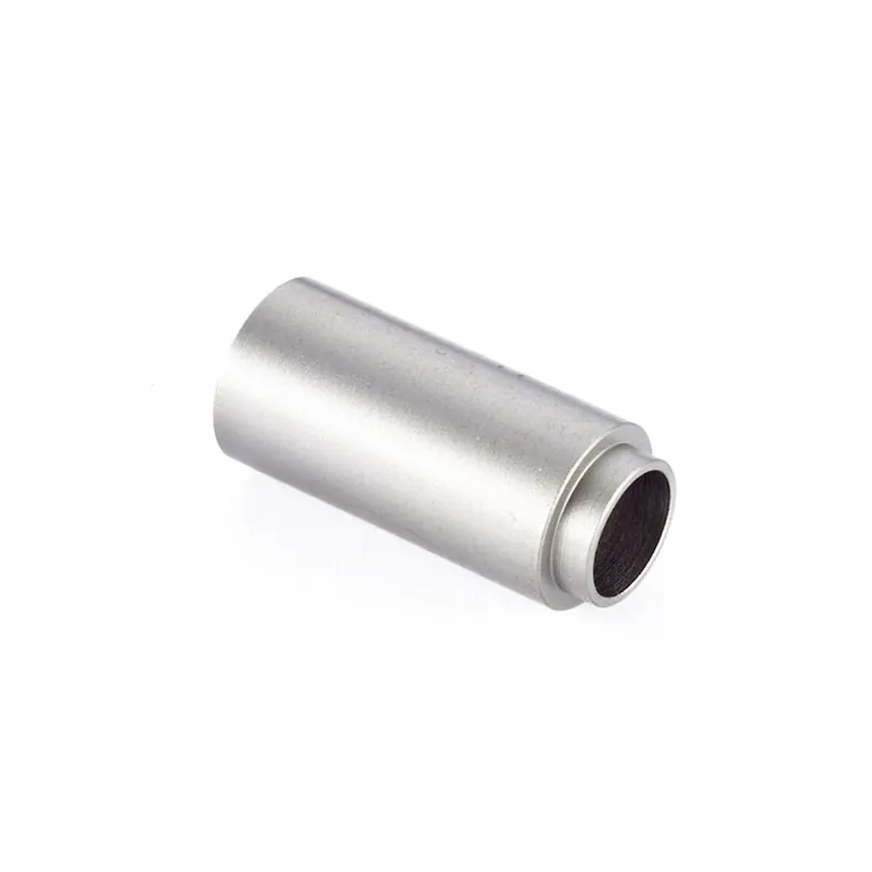 PLUG, GUIDE ROD, FULL-LENGTH, FULL-SIZE
