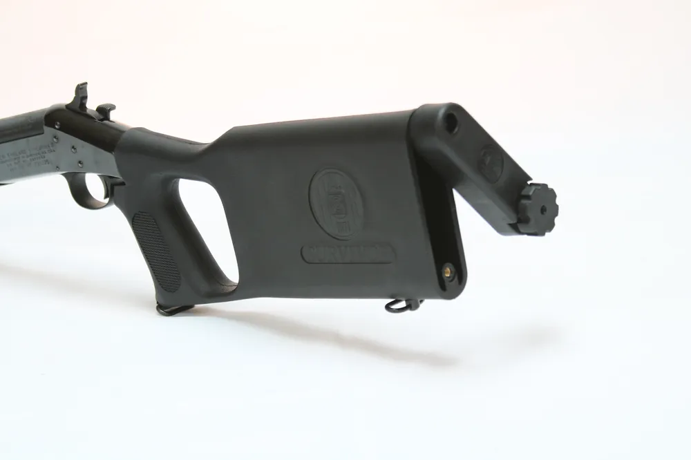 H&R Survivor Stock