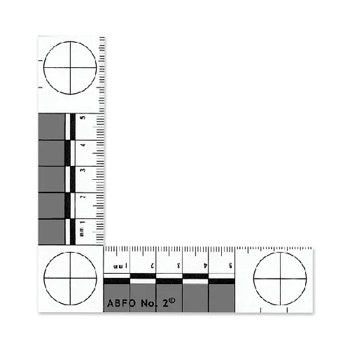 ABFO No. 2 Photomacrographic Scale