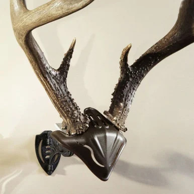Bone Bracket/Skull Cap Combo
