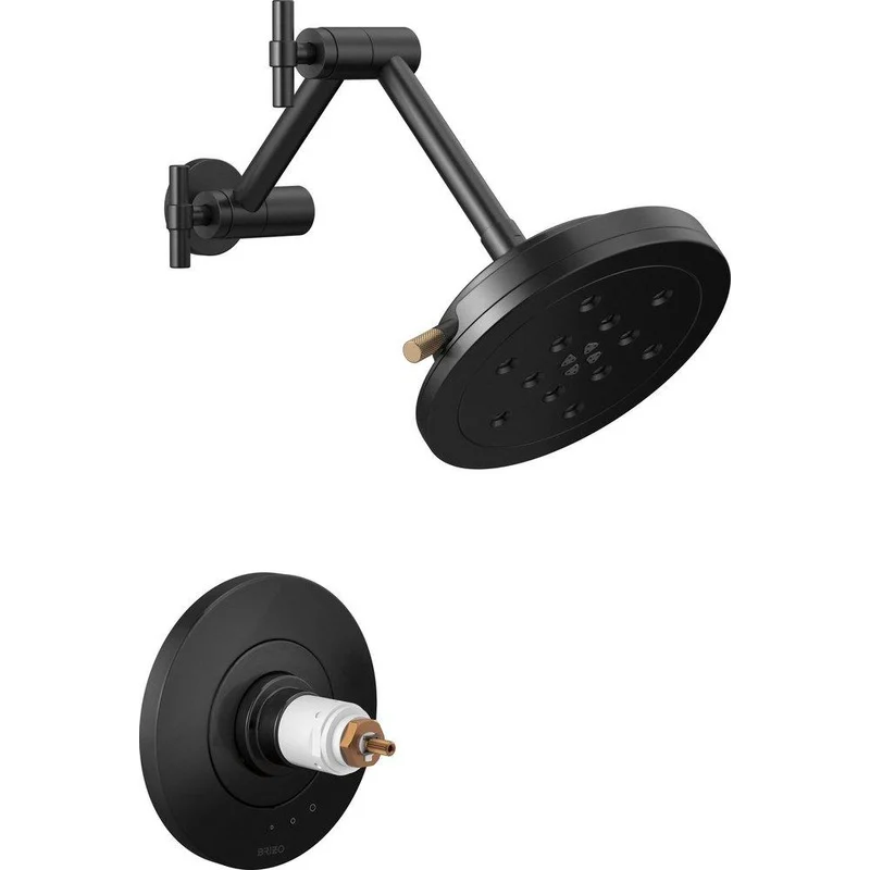 Brizo Litze Multi Function Shower Faucet in Matte Black with Luxe Gold (Trim Only) (Handle Sold Separately) | Ferguson