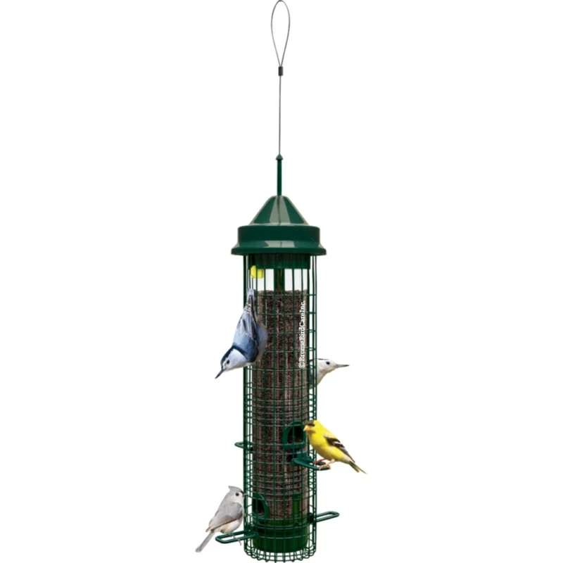 Brome Bird Care Squirrel Buster Classic