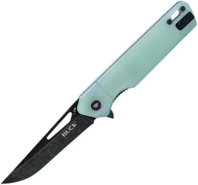 Buck Infusion Natural 3.25 Inch Plain Black Stonewash Drop Point BU13545