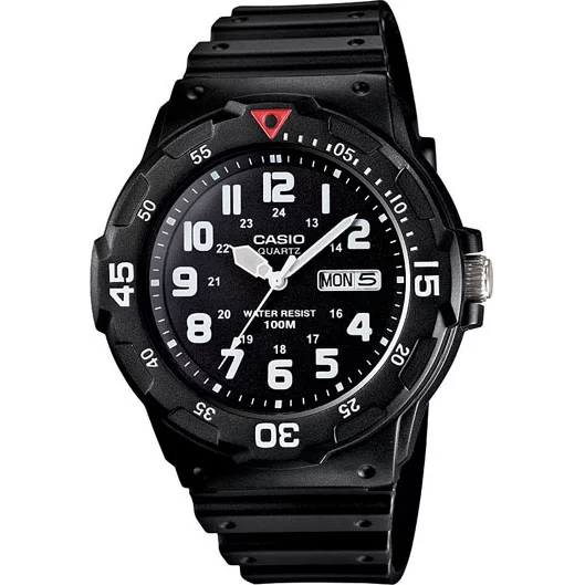 Casio Diver-Look Watch