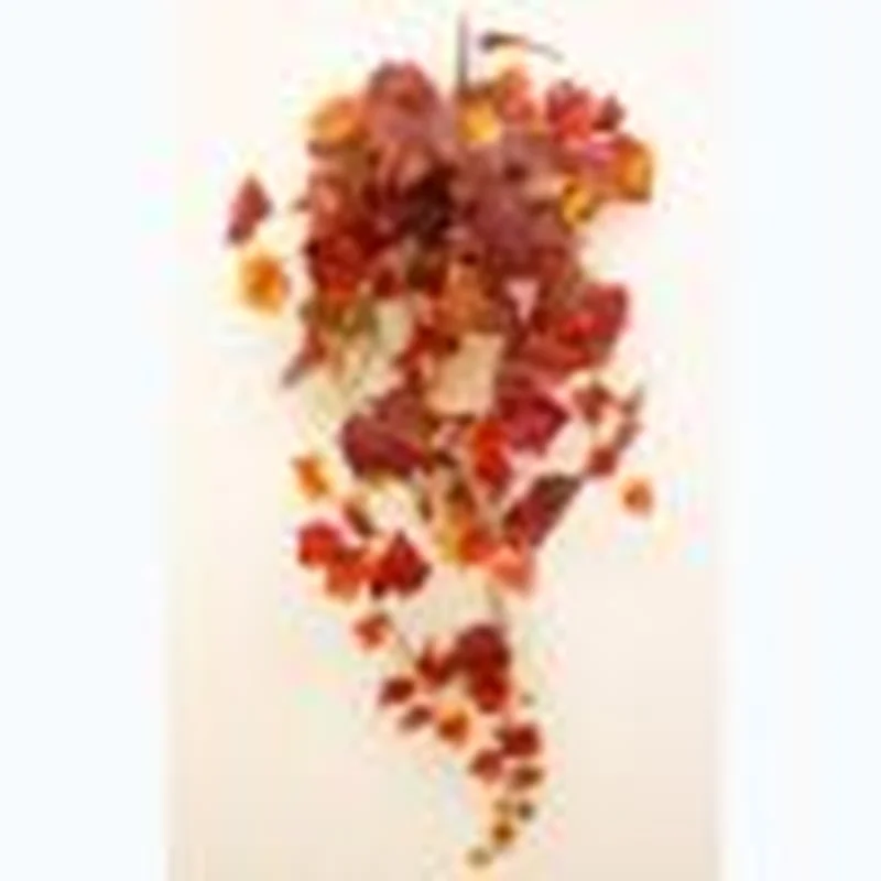 GRAPE IVY SMALL BUSH (RED/ORANGE 82CM)