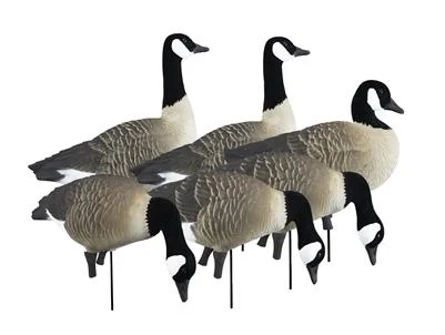 Higdon Outdoors APEX Full-Size Full-Body Canada Goose Decoy Variety Pack
