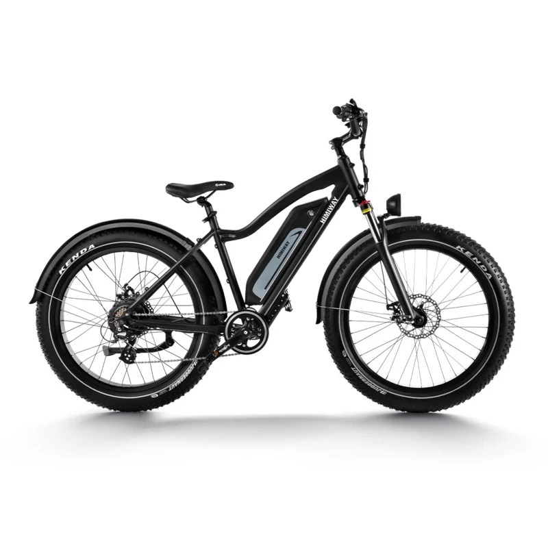 Himiway D3 (Cruiser) | Long Range Fat Tire Electric Bike | Range 35~60 Miles | Heavy-Duty Aluminium Kickstand