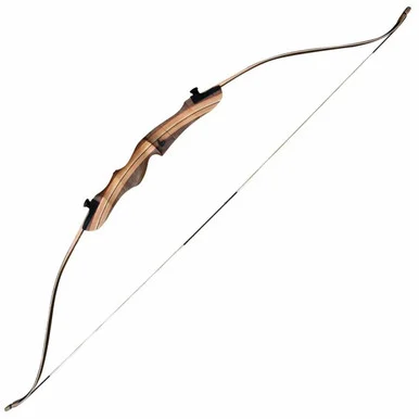 Hori-Zone Raptor Recurve Package RH