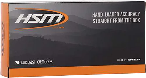 HSM 45-70 Government, 300gr, Jacketed Hollow Point, 20rd Box