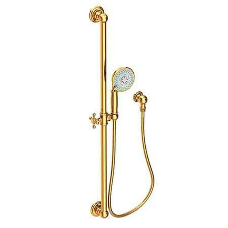 Newport Brass Multi Function Hand Shower in Aged Brass | Ferguson