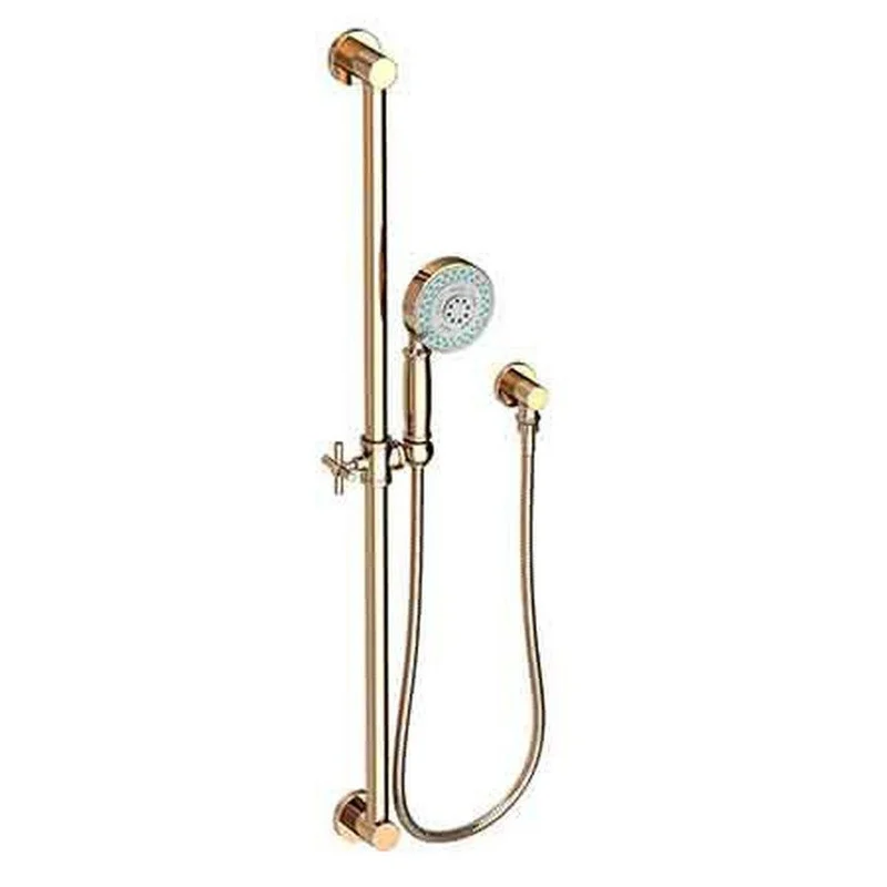 Newport Brass Multi Function Hand Shower in French Gold – PVD | Ferguson