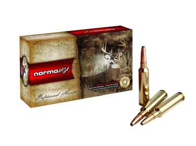Norma 9.3x62 285gr Plastic Point