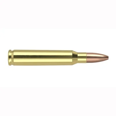 Nosler 40223 Varmageddon Flat Base Hollow Point62 Grain .223 Remington