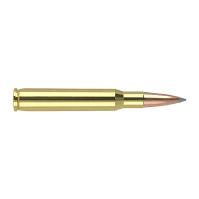 Nosler 60102 Trophy Grade Nosler Spitzer AccuBond Long Range168 Grain .30-06 Springfield