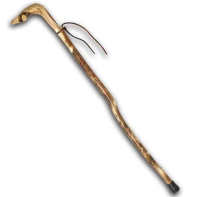 Ozark Sumac Root Cane