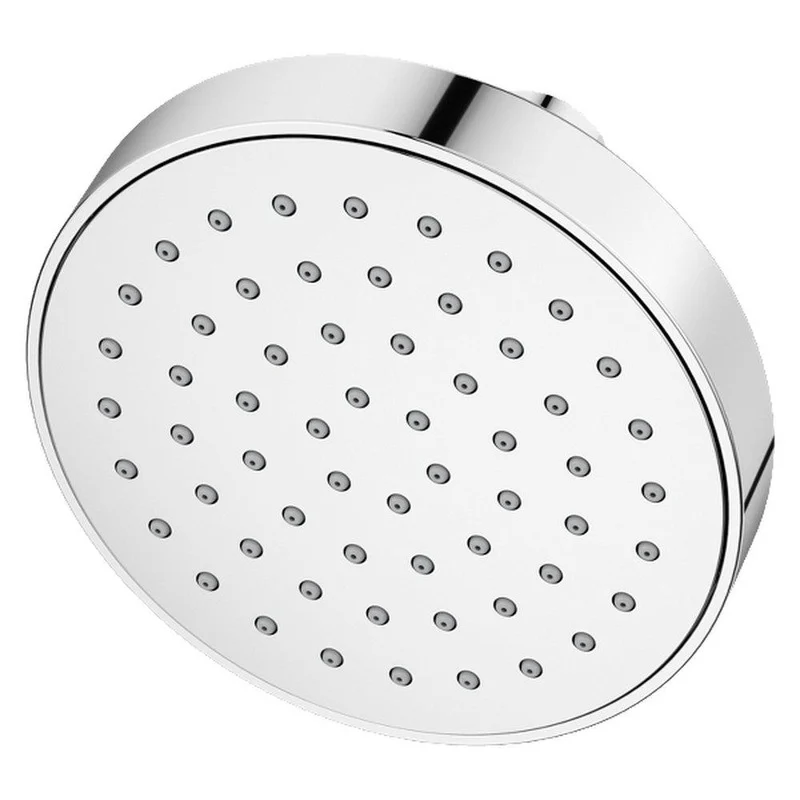 Pfister Brislin Single Function Showerhead in Polished Chrome | Ferguson