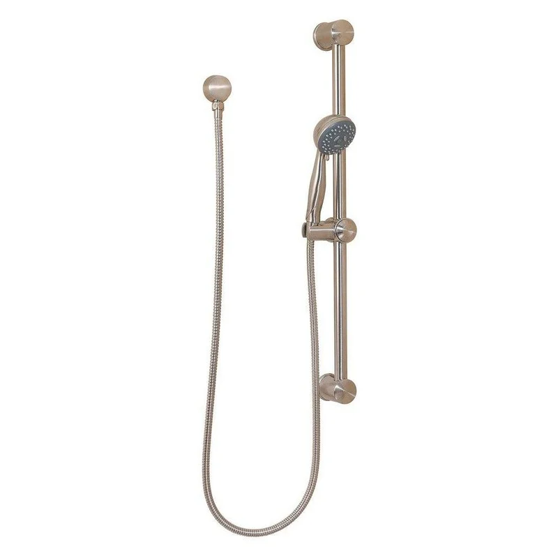 Pfister Pfirst Series Multi Function Hand Shower in Brushed Nickel | Ferguson
