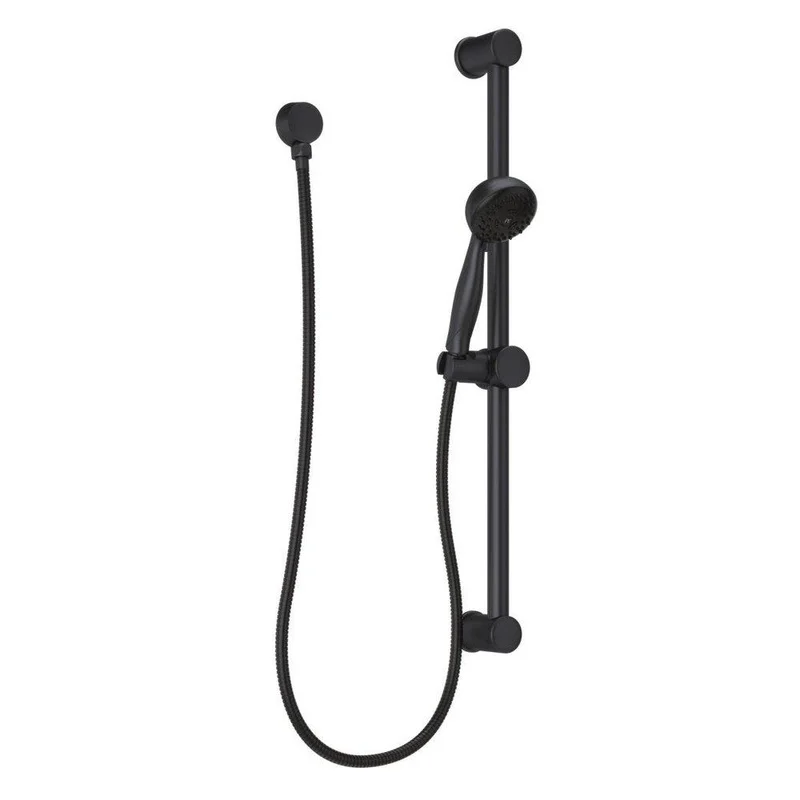 Pfister Pfirst Series Multi Function Hand Shower in Matte Black | Ferguson