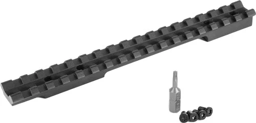 PICATINNY RAIL 20 MOAEGW SCOPE BASE WIN XPR LA