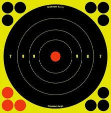 Shoot N C 8" Bullseye 6 Sheets