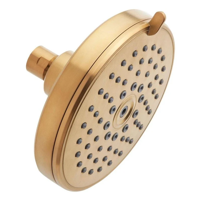 Signature Hardware Multi Function Showerhead in Brushed Gold | Ferguson