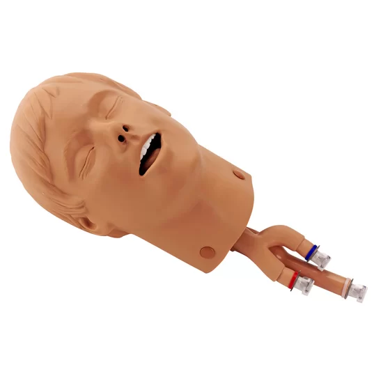 Simulaids Intubation Head