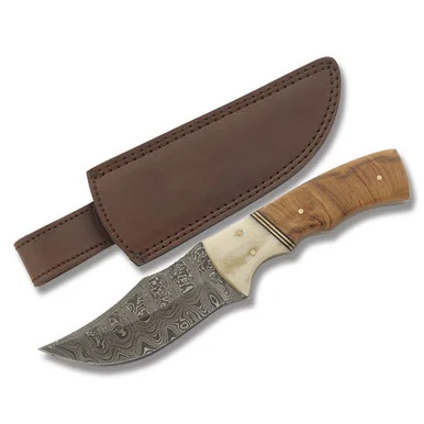 SZCO Supplies Olivewood Buffalo Skinner Fixed Blade Knife 4in Damascus DM1079