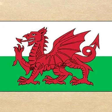 Welsh Dragon Flag