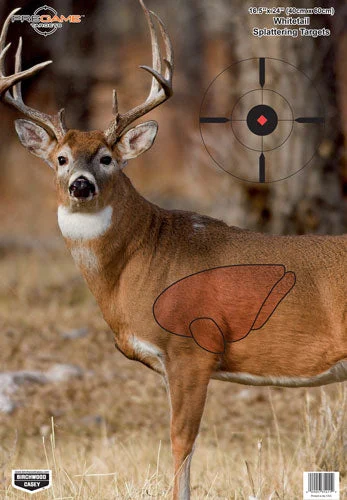 WHITETAIL DEER TARGET 3-TARGTSB/C TARGET PREGAME 16.5"X24"