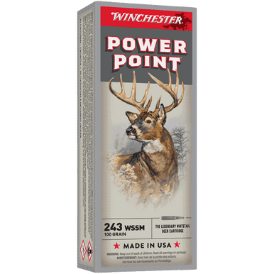 Winchester Power Point 243WSSM 100gr PP
