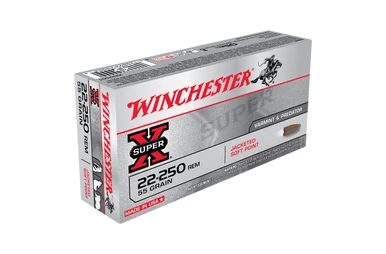 Winchester Super X 22-250Rem 55gr PSP