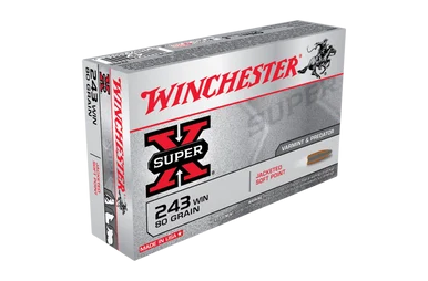 Winchester Super X 243WIN 80gr JSP